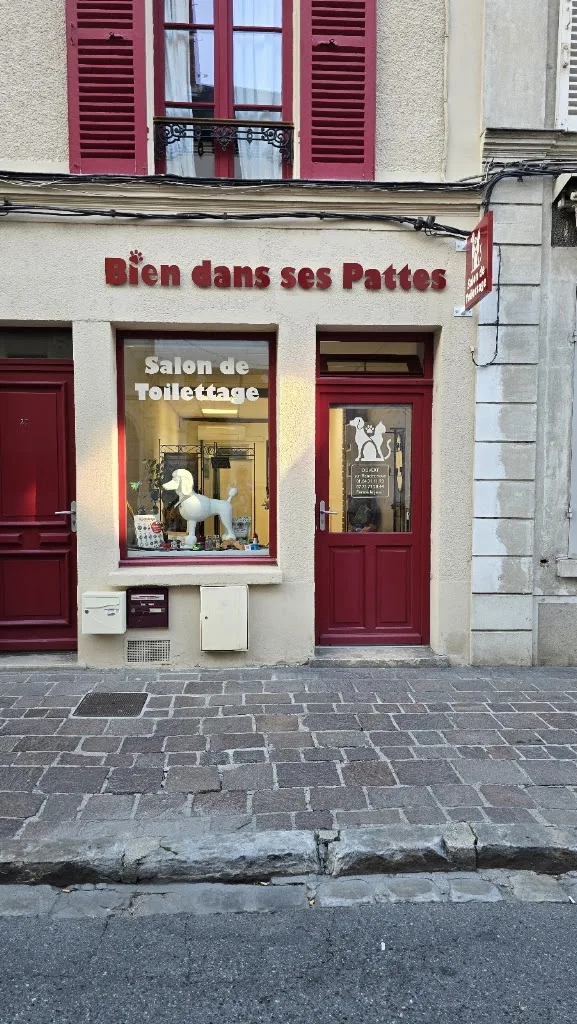 Bien Dans Ses Pattes Toilettage - photo 3