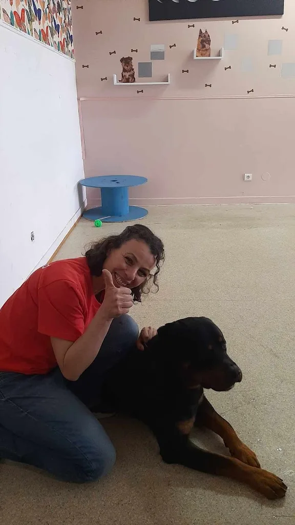 PattoZen petsitter professionnelle et toiletteuse d’entretien à Strasbourg - photo 1