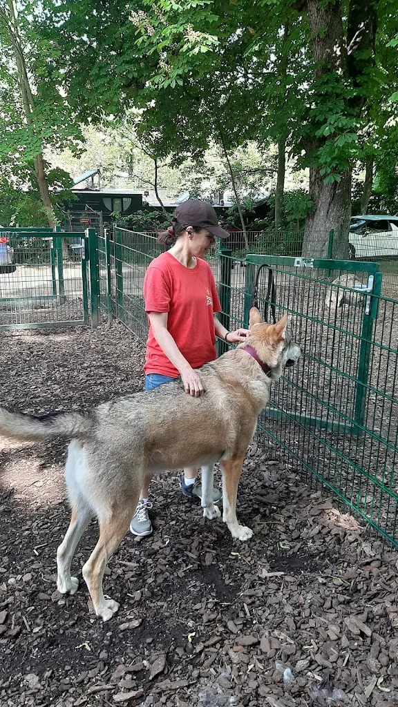 PattoZen petsitter professionnelle et toiletteuse d’entretien à Strasbourg - photo 2