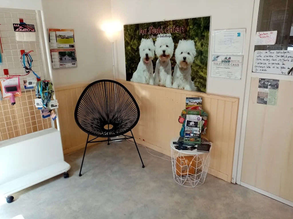 Au Ferté Chien - photo 2