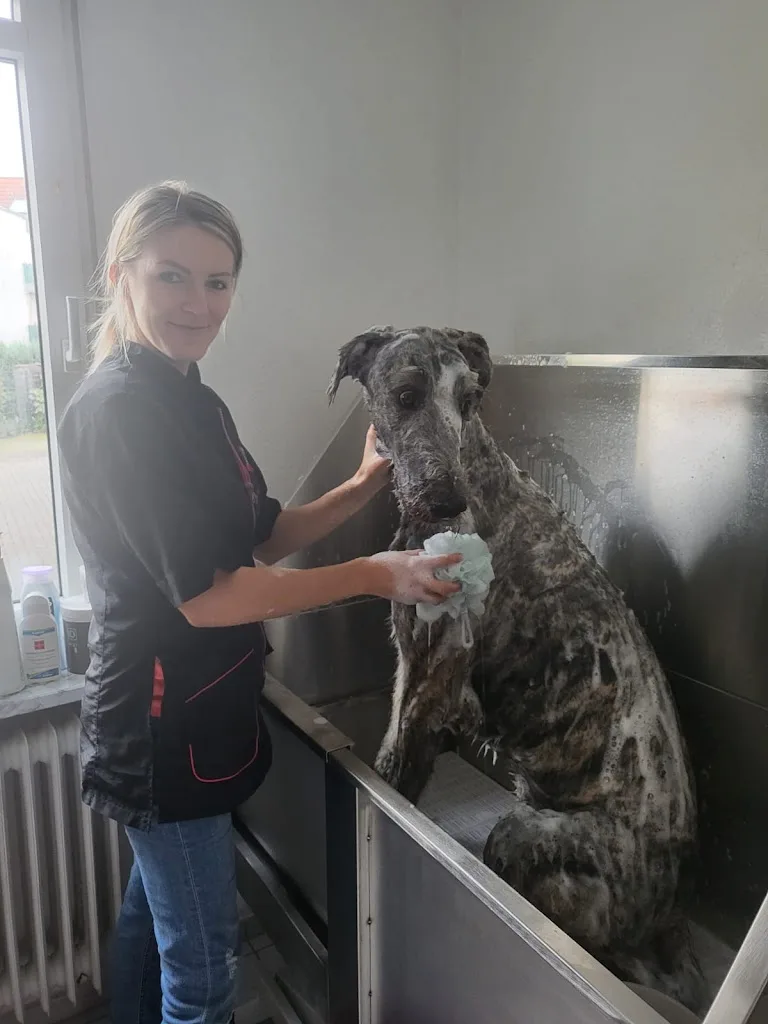 Hundesalon FelLena - photo 1