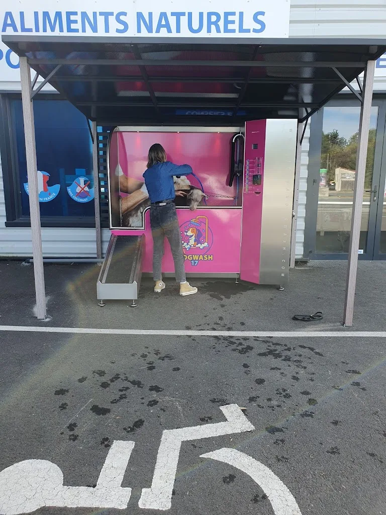 Dogwash17 - photo 2