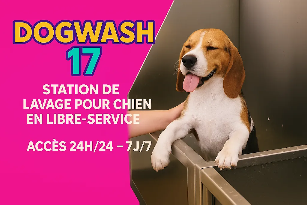 Dogwash17 - photo 3
