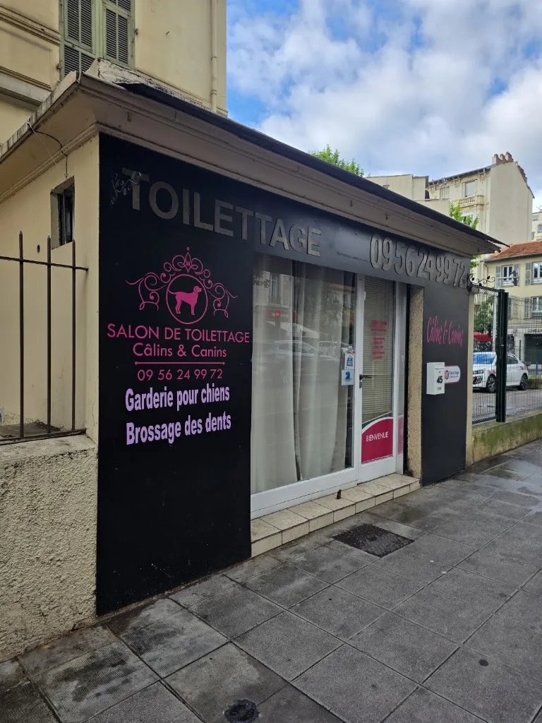 Salon de Toilettage - photo 2