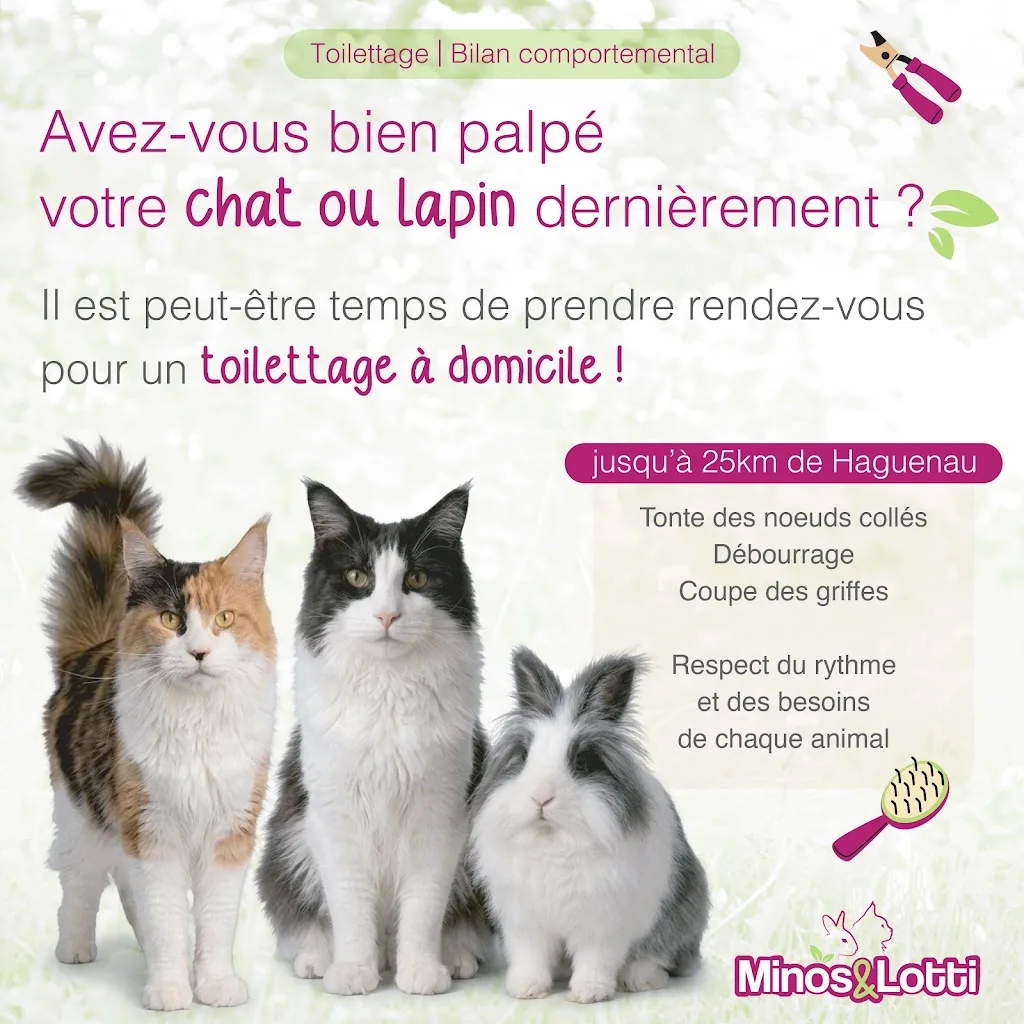 Minos&Lotti | chat et lapin - photo 1