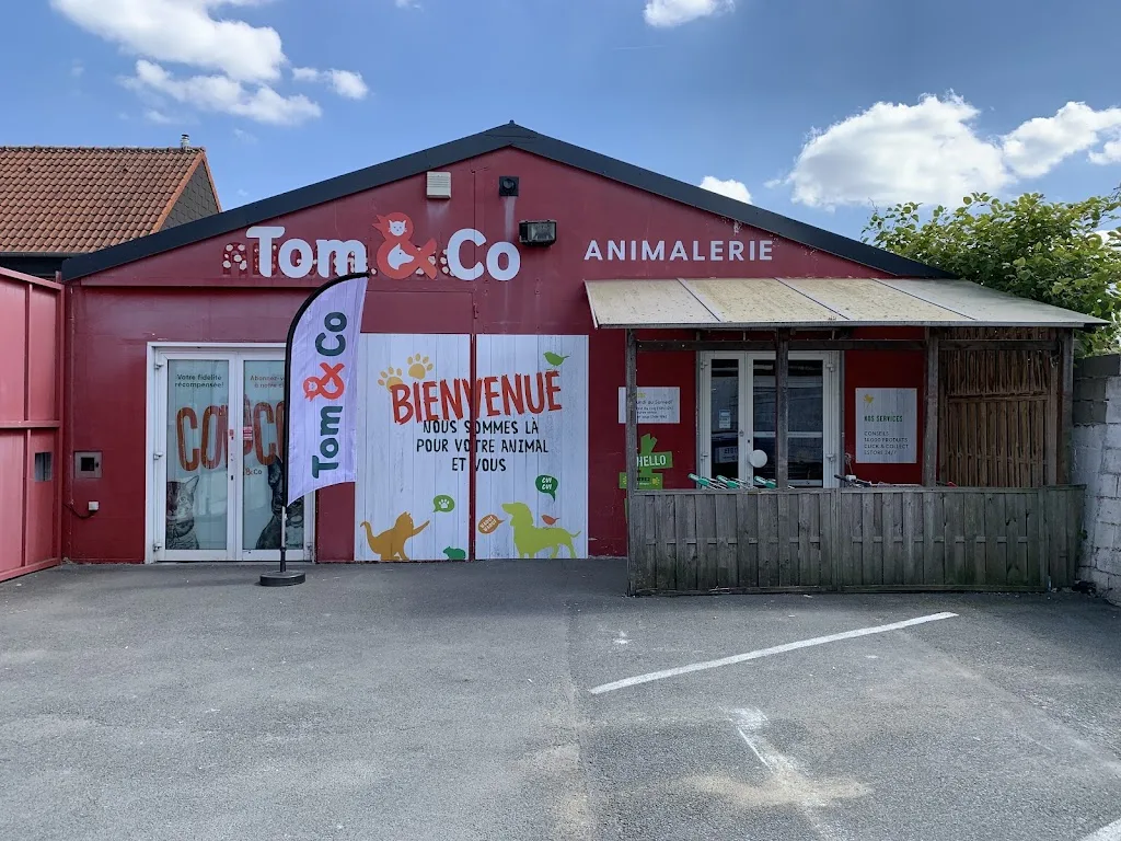 Tom&Co Roncq Neuville-En-Ferrain - photo 2