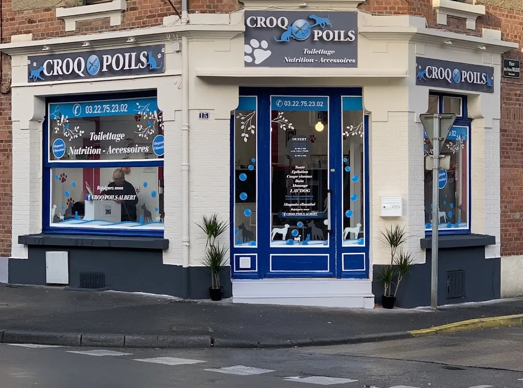 Croq poils Albert - photo 3