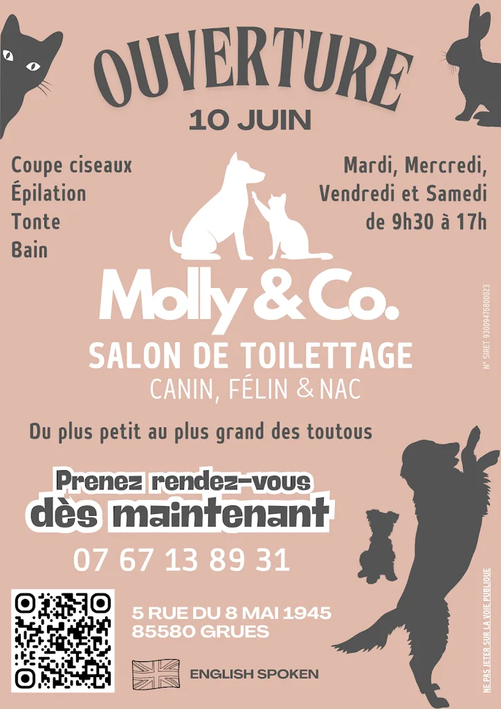 Molly & Co. Salon de toilettage - photo 2