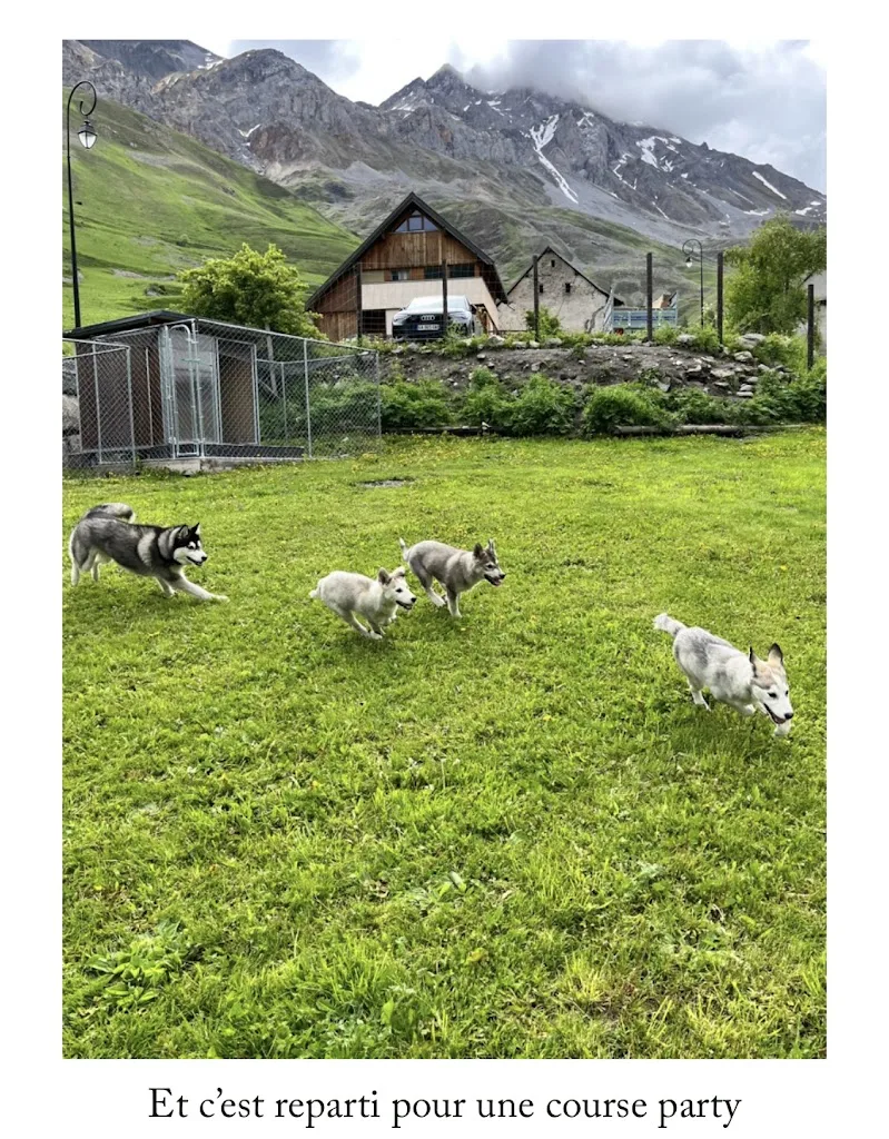 Pension Canine Mauriennaise - photo 3