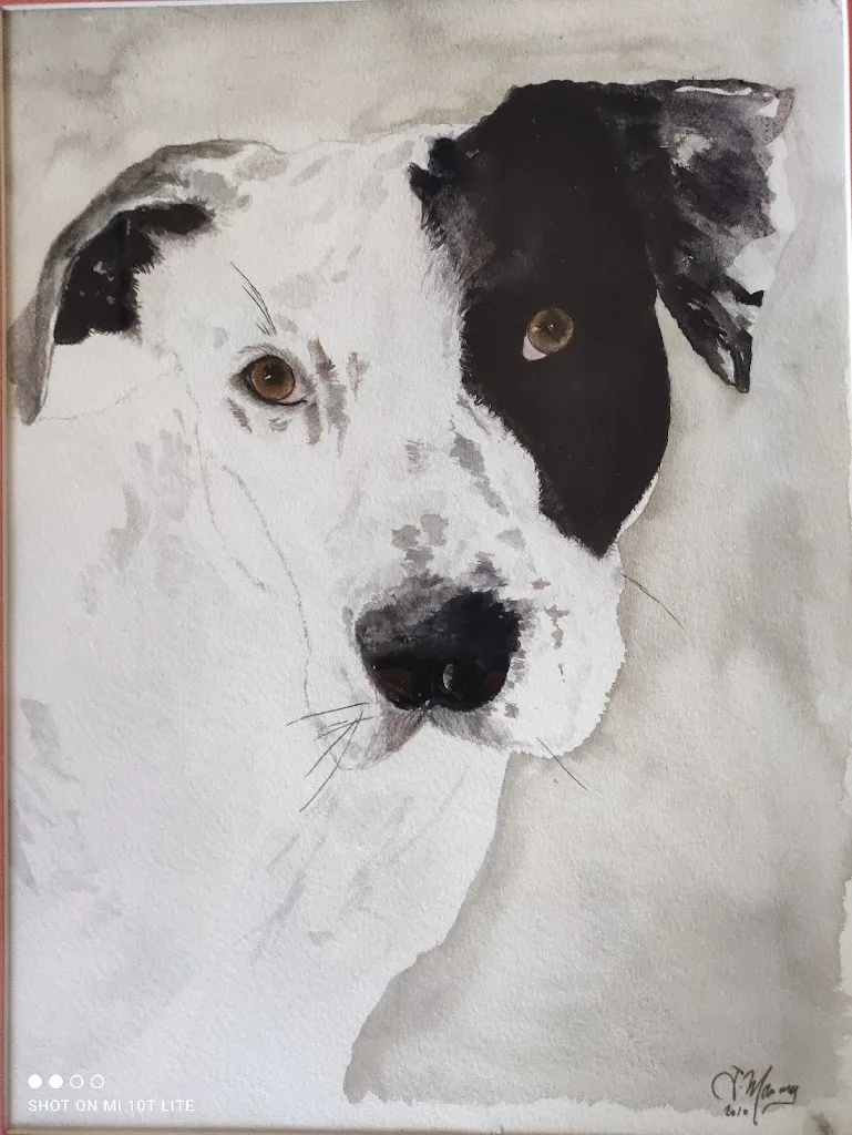 comme mon chien - photo 2