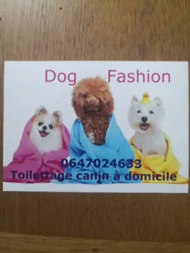Dog Fashion toilettage à domicile - photo 1