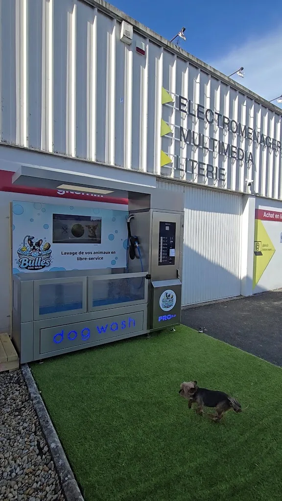 Bulles dog wash - photo 1