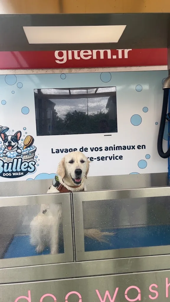 Bulles dog wash - photo 2