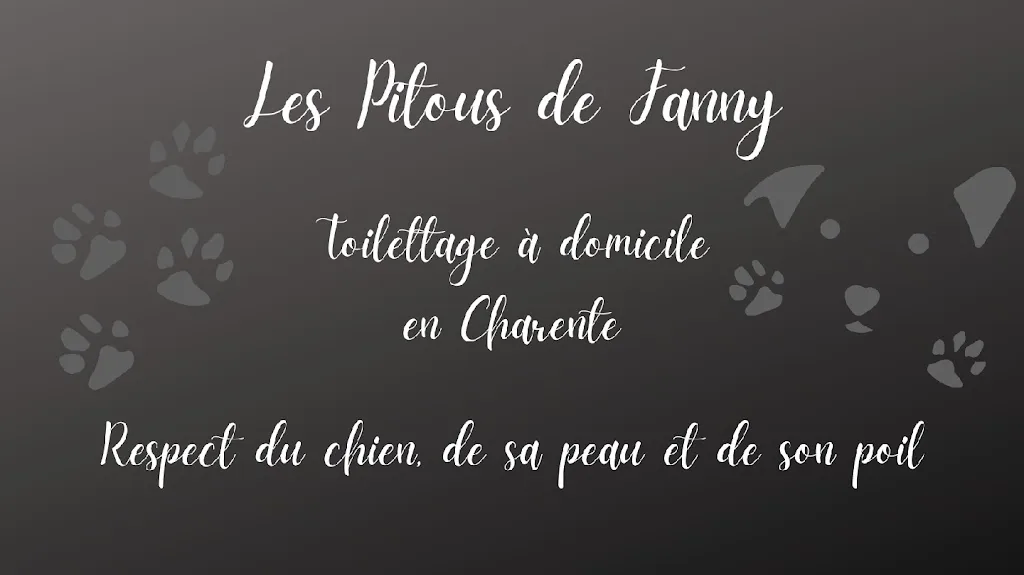 Toilettage à domicile Les Pitous de Fanny - photo 1