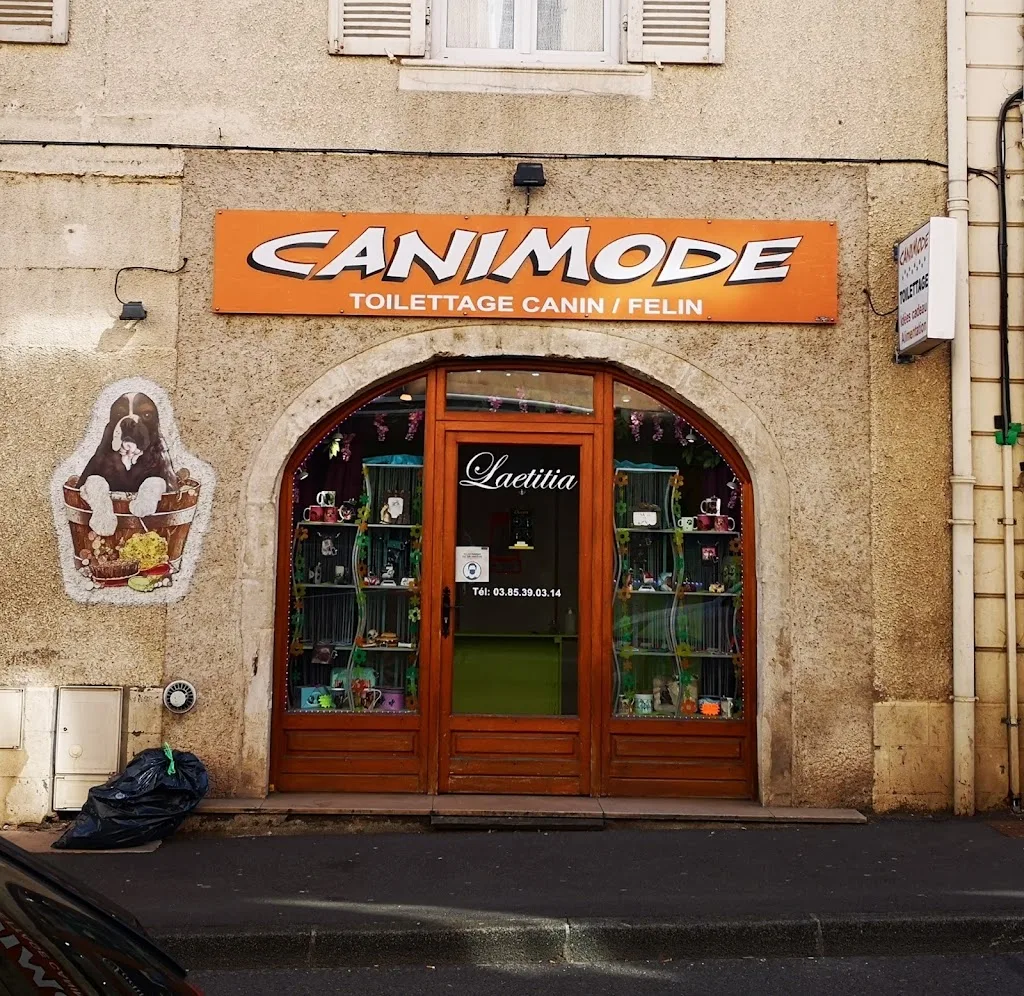 CANIMODE toilettage canin - photo 3