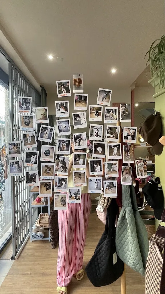 La Niche Urban Dogshop - photo 1