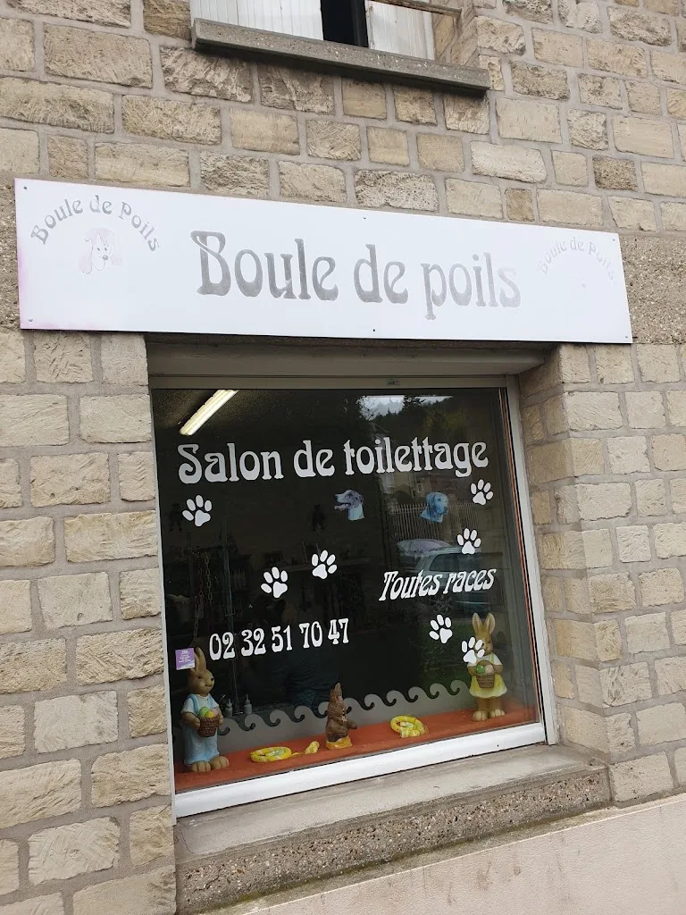 Boule de poils - photo 2