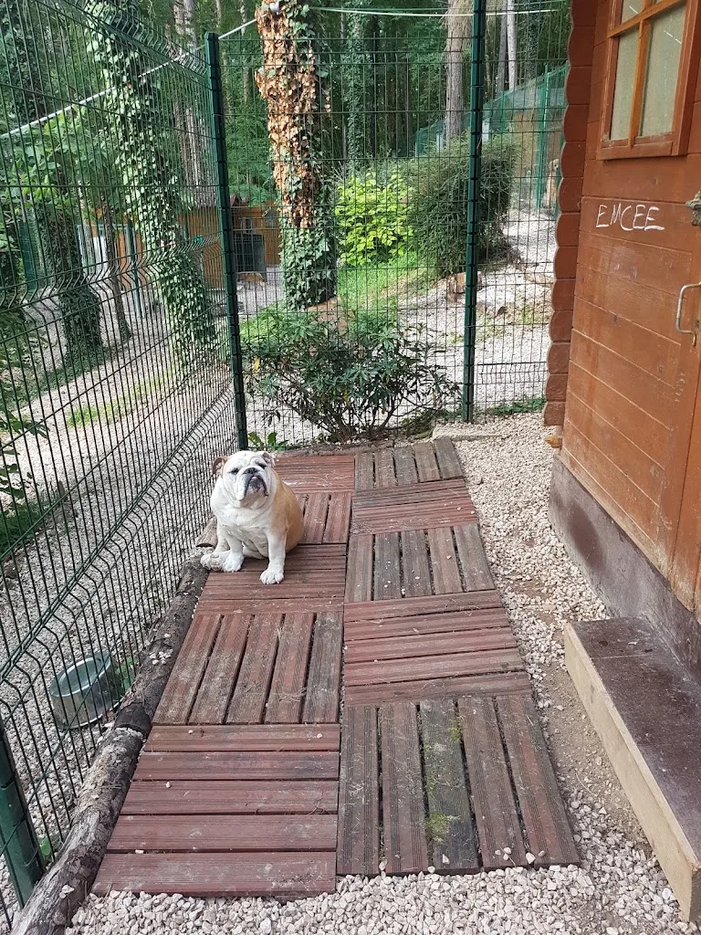 La Pension de Cécile - photo 1