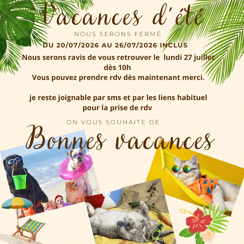 BEAUTY PETS - Salon de toilettage Athis Mons (91) - photo 1