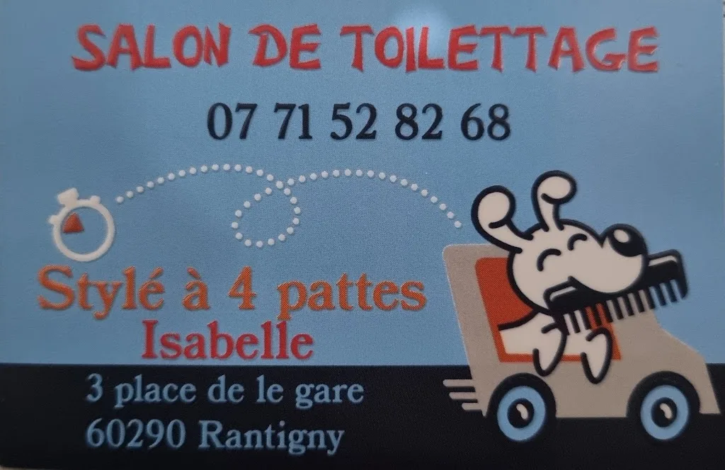 Stylé à 4 pattes - photo 2