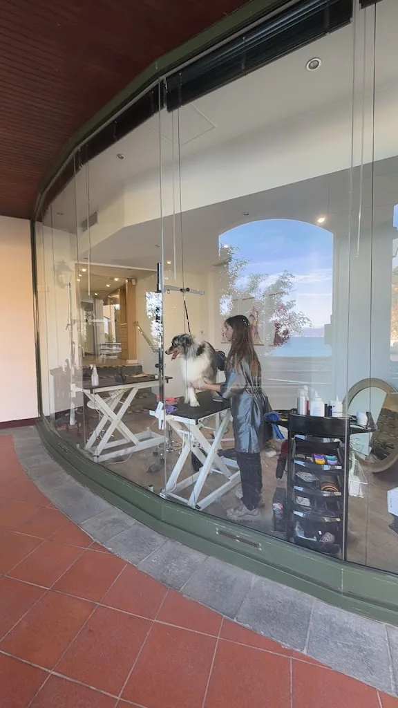 Doggy Club Monaco - photo 3