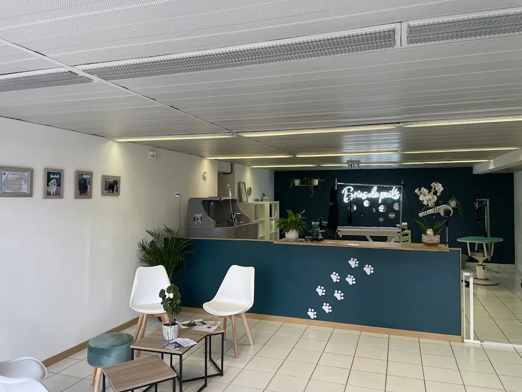 De bon poil - photo 1