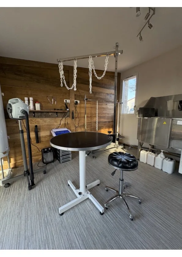 LE SALON DE LA TOUR - photo 2