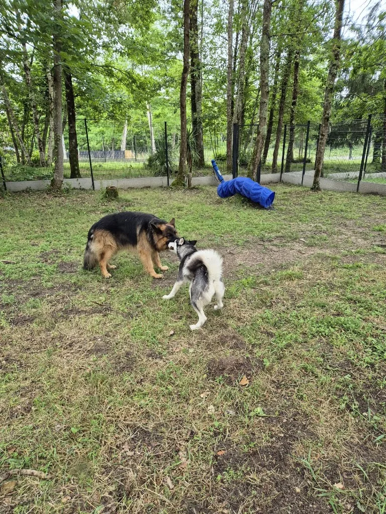 Irko&co - photo 1