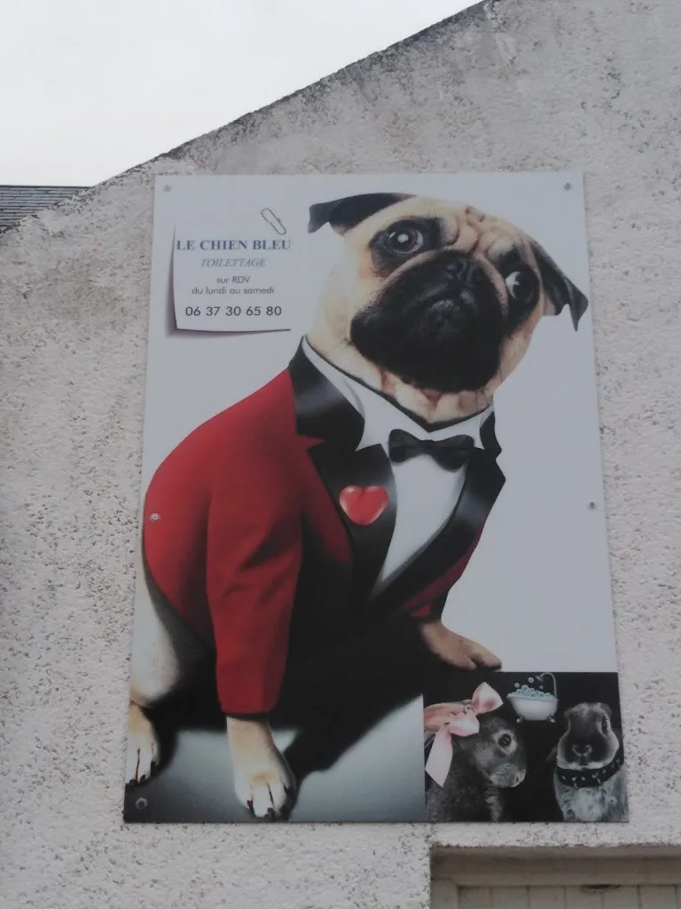 Le Chien Bleu - photo 3