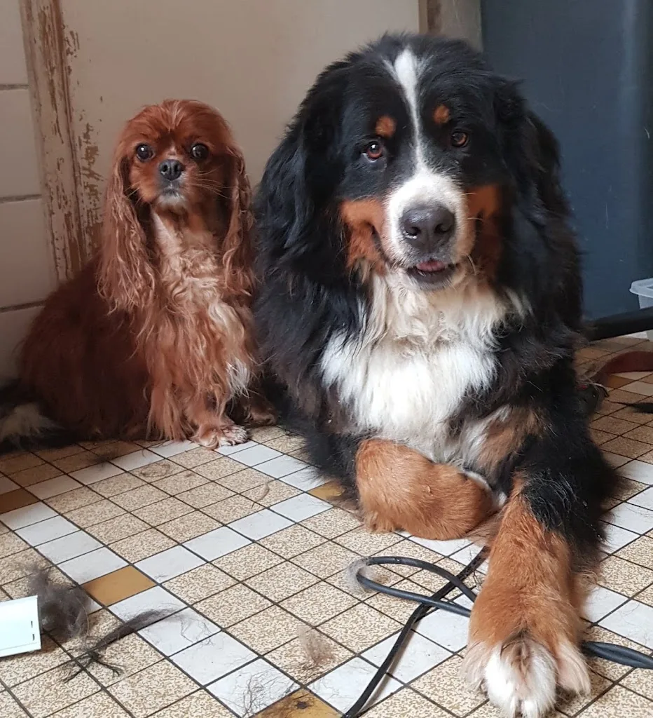 salon de la conchyliculture 2019 La Tremblade - photo 3