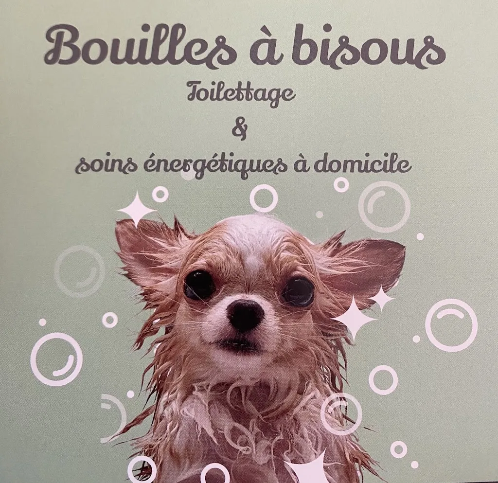 Bouilles à bisous - Toilettage et Soins Energétiques à Domicile - photo 2