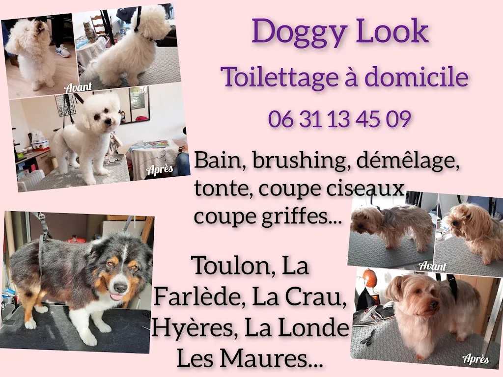 Doggy Look - photo 1