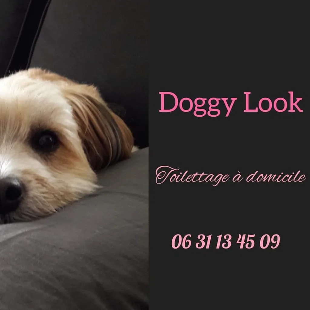 Doggy Look - photo 4