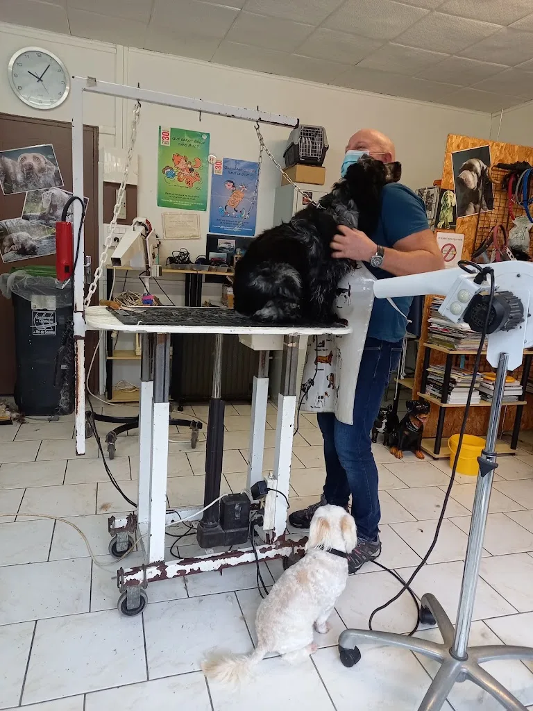 Cani Beaute - photo 2