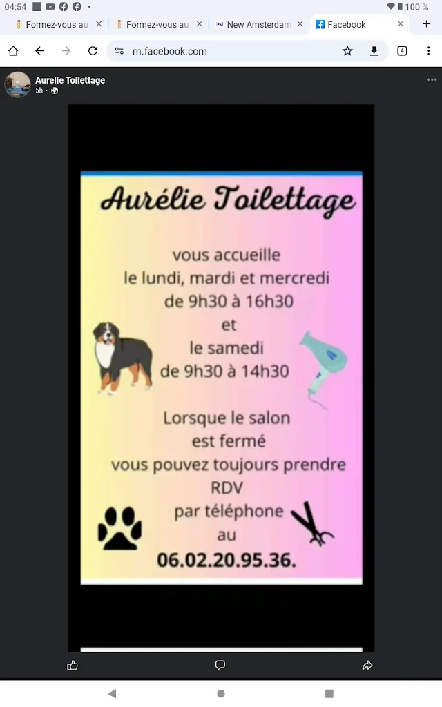 Aurelie toilettage - photo 2
