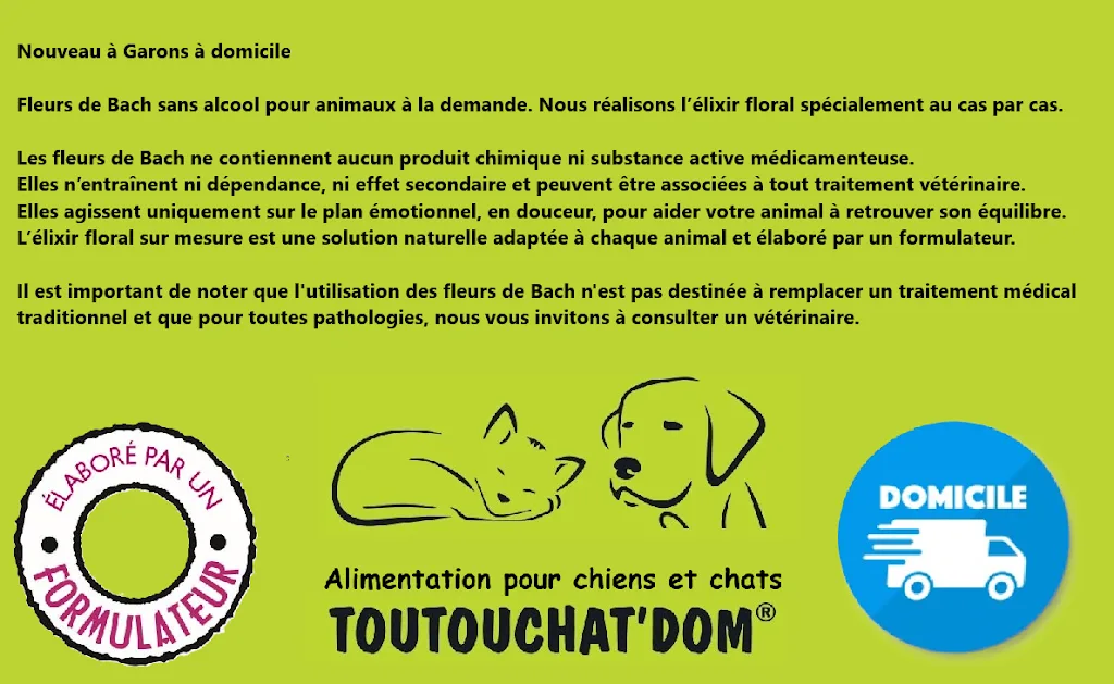 Toutouchatdom - photo 1