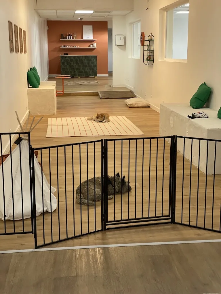 Woof Society - photo 1