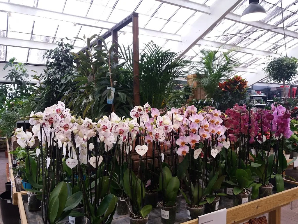 JARDILAND - photo 3