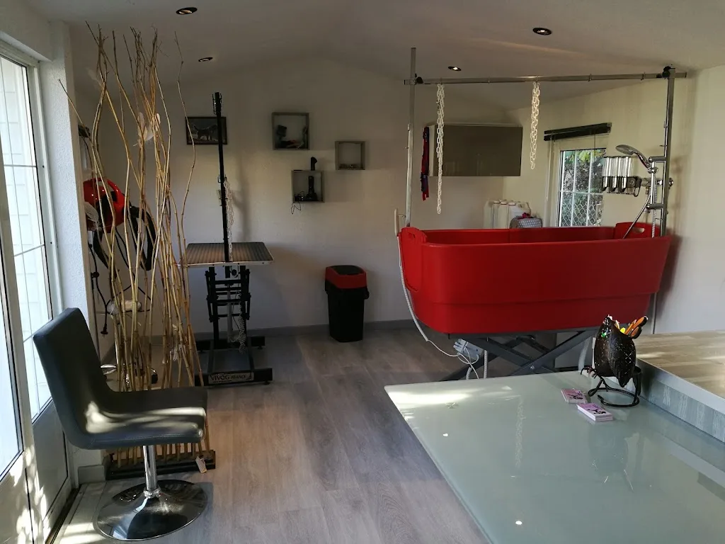 Toiletteur Moby Dog - photo 3