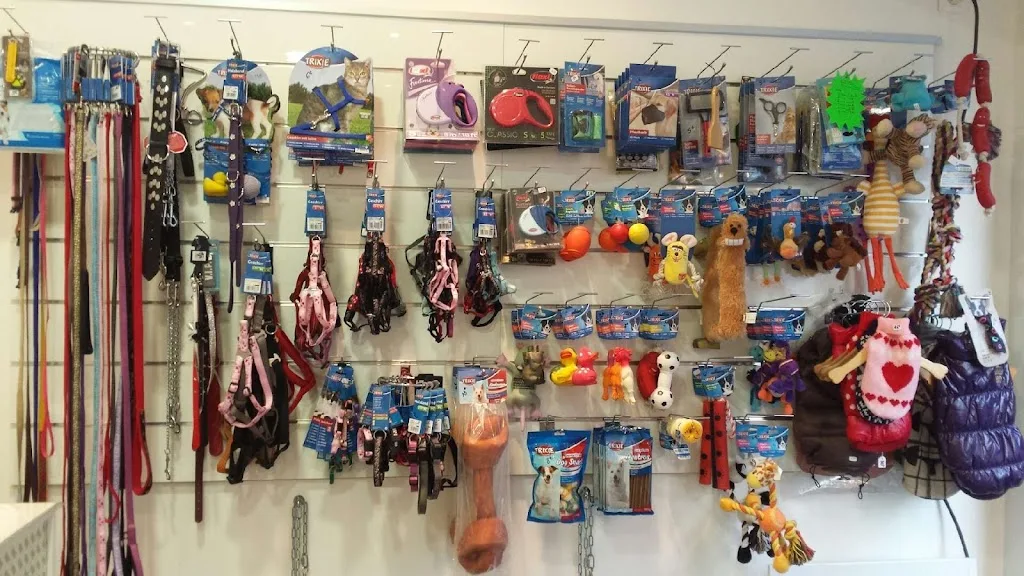 Les Arist'os Chiens - photo 1
