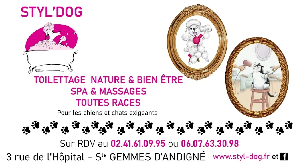 STYL'DOG Toilettage chien et chat - photo 2