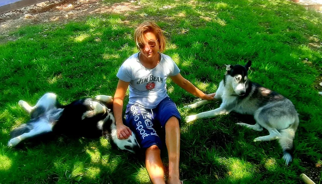 Aux Chiens Savon - photo 3