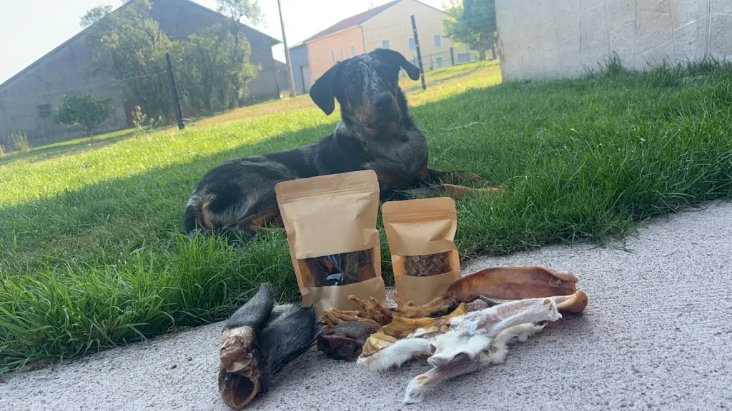 Beauté Canine - photo 1