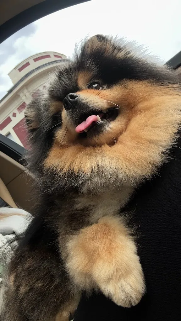 Le Nid Canin - photo 2