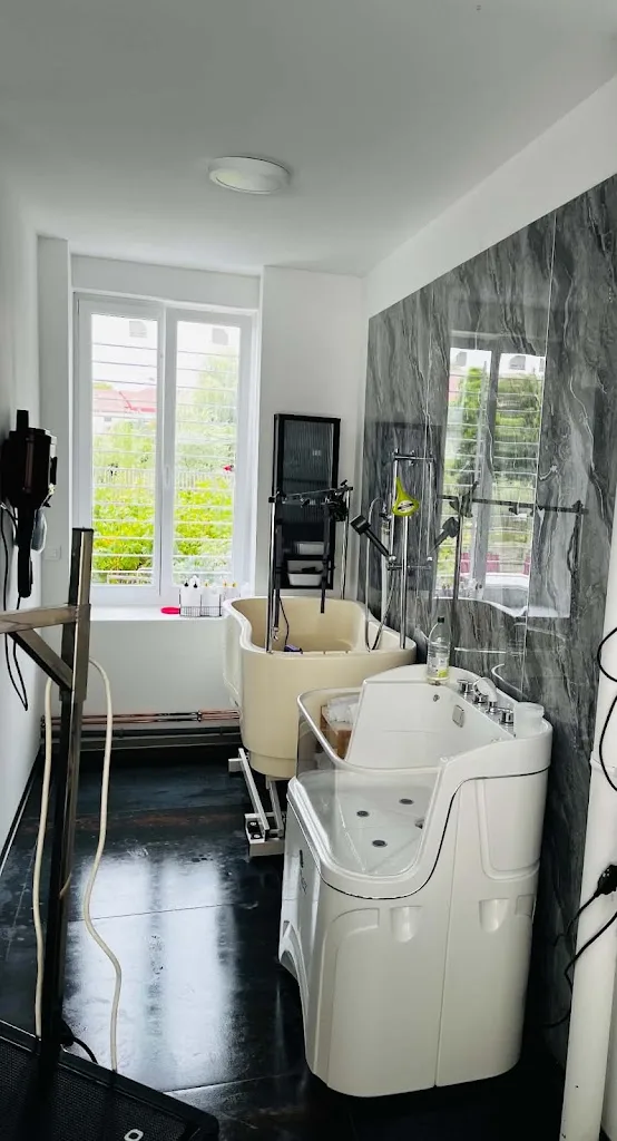 Le Salon by Fanny Lamarque - photo 2