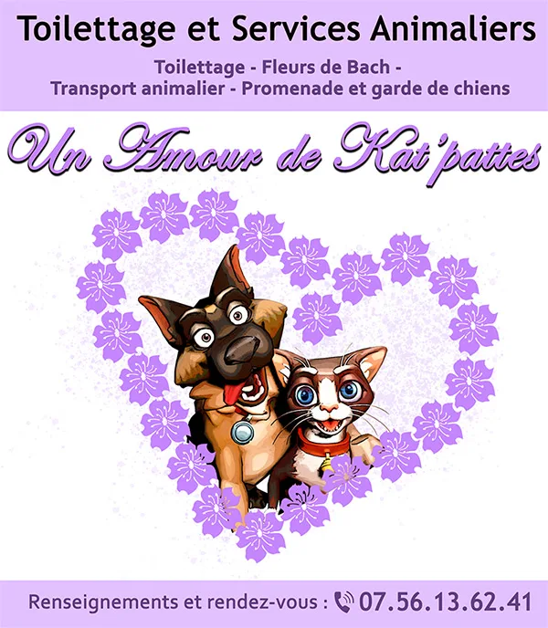 Un Amour de Kat'Pattes - photo 2