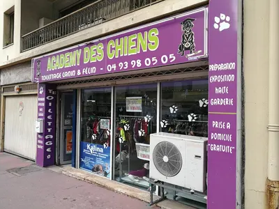 Academy des chiens