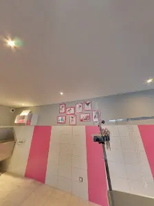 Toilettage Pontissalien
