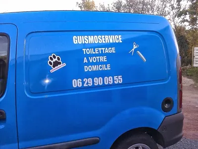 guismoservice