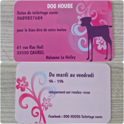 Dog House Toilettage canin